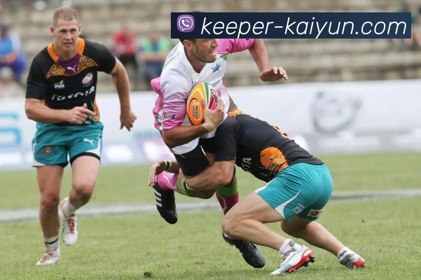 开云官网服务体系