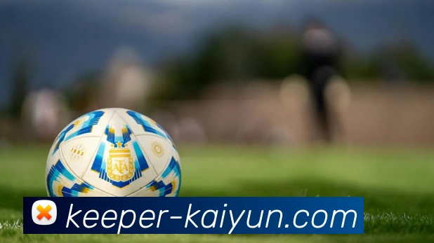 开云官网APP 体育赛事宣传图